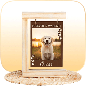 premium gift box wraptly