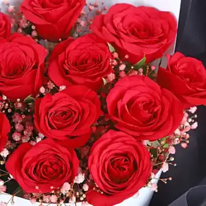 Relationship & Appreciation Days