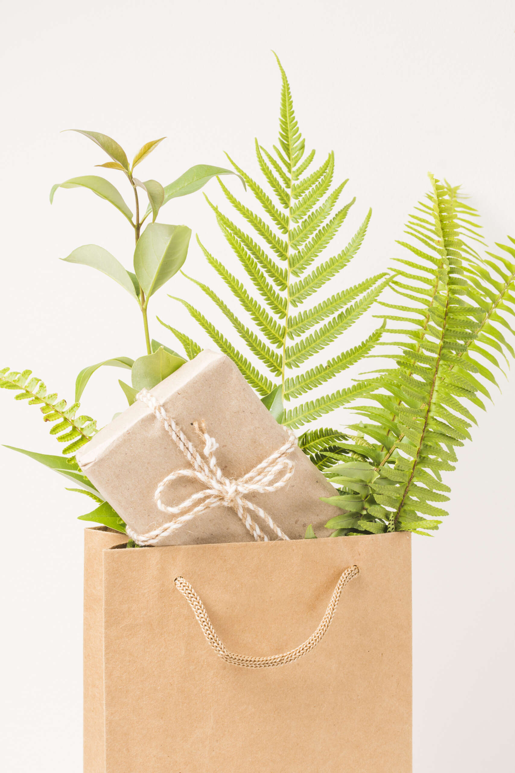 closeup up gift box green fern leaves brown paper bag