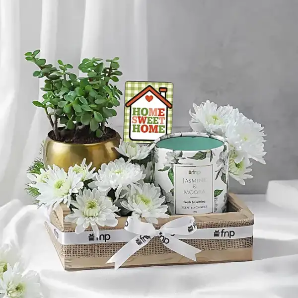 Green Jade Housewarming Gift Set