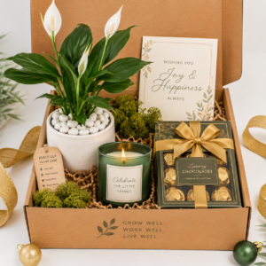 Festive & Celebration Green Gift Hamper
